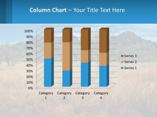 Ranch Outback Sky PowerPoint Template