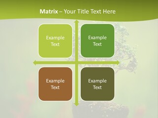 Beauty Japan Mesh PowerPoint Template