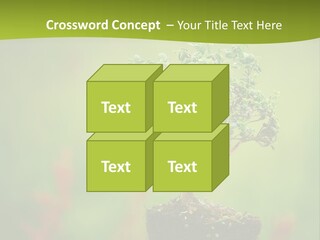 Beauty Japan Mesh PowerPoint Template