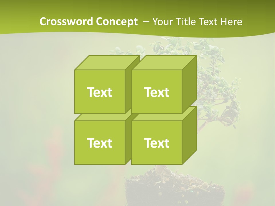 Beauty Japan Mesh PowerPoint Template