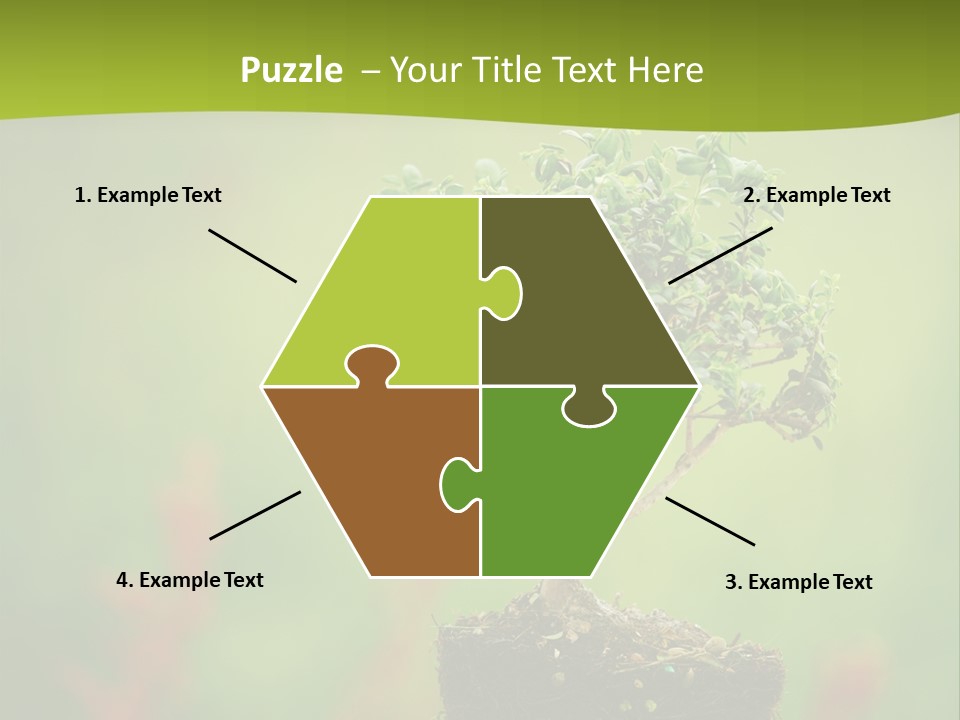 Beauty Japan Mesh PowerPoint Template