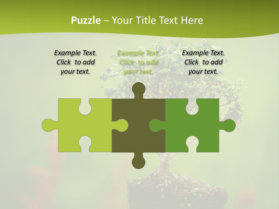 Beauty Japan Mesh PowerPoint Template