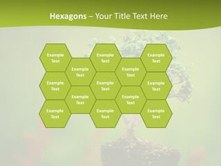 Beauty Japan Mesh PowerPoint Template