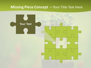 Beauty Japan Mesh PowerPoint Template