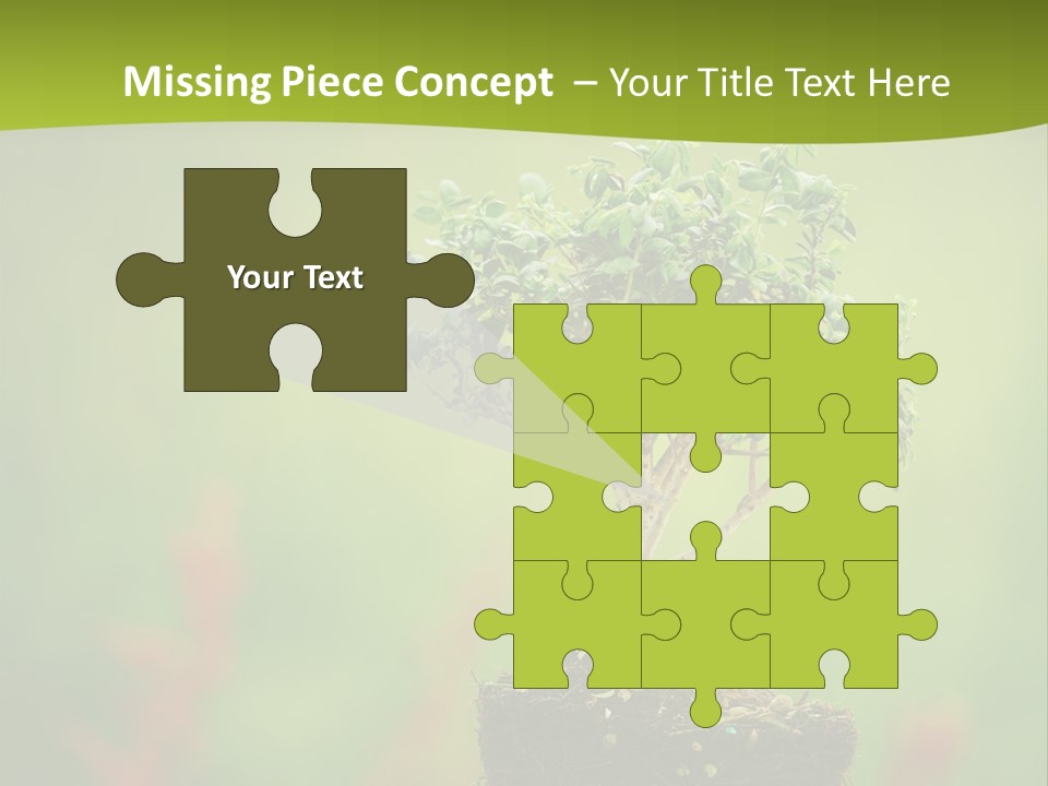 Beauty Japan Mesh PowerPoint Template