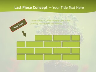 Beauty Japan Mesh PowerPoint Template