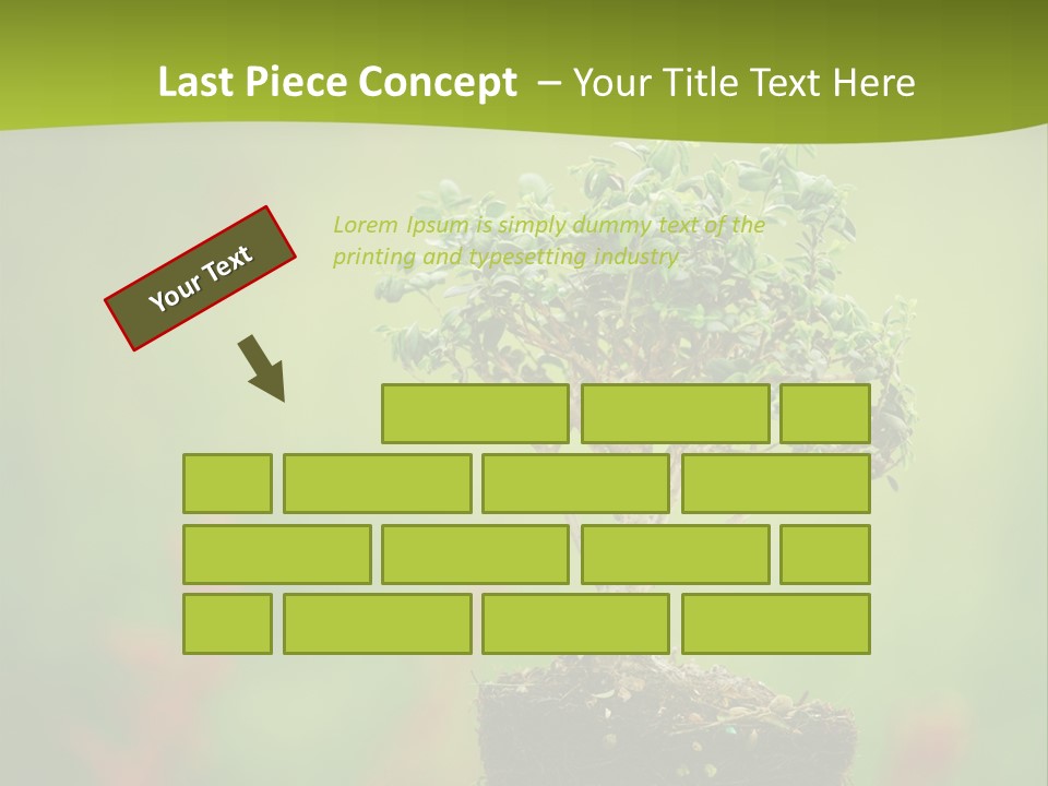 Beauty Japan Mesh PowerPoint Template