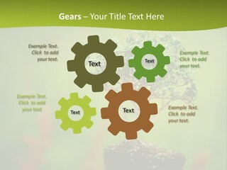 Beauty Japan Mesh PowerPoint Template