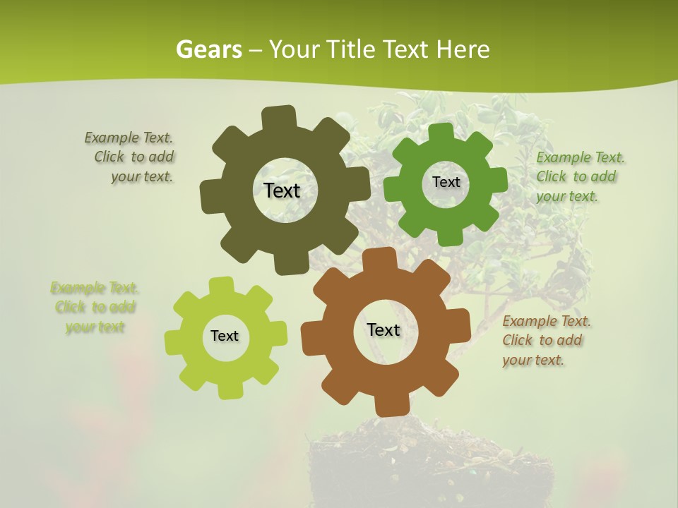 Beauty Japan Mesh PowerPoint Template