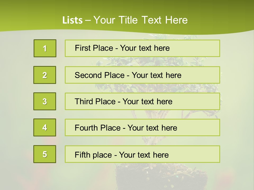 Beauty Japan Mesh PowerPoint Template