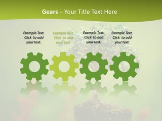 Beauty Japan Mesh PowerPoint Template