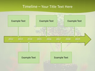 Beauty Japan Mesh PowerPoint Template