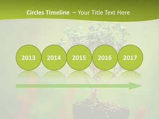 Beauty Japan Mesh PowerPoint Template