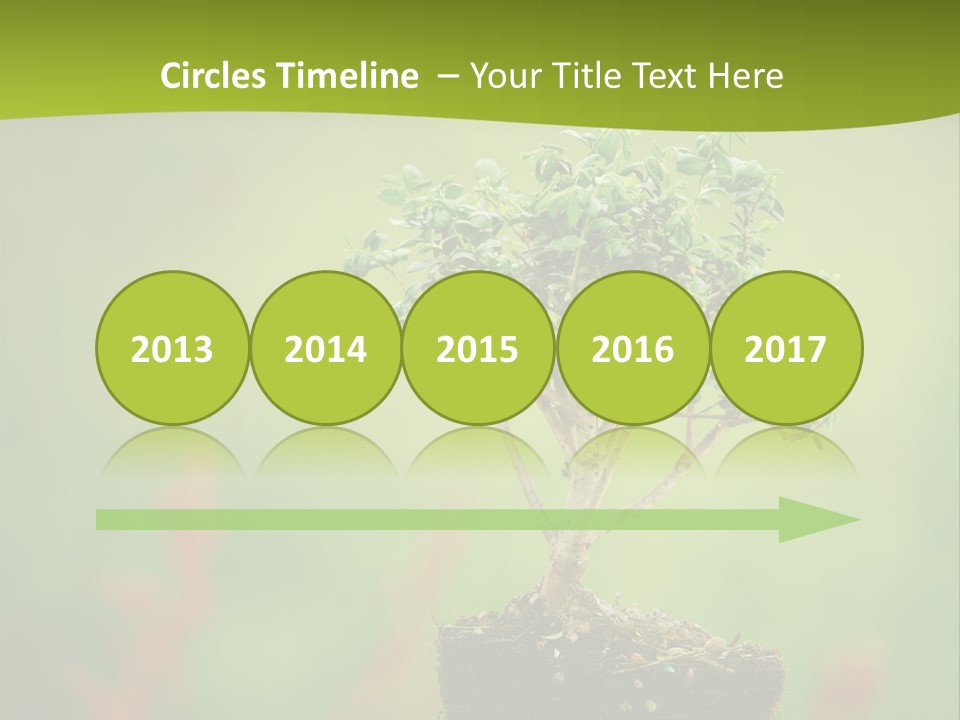 Beauty Japan Mesh PowerPoint Template