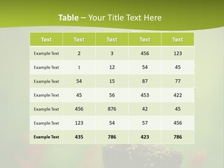 Beauty Japan Mesh PowerPoint Template