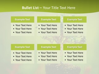 Beauty Japan Mesh PowerPoint Template