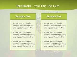 Beauty Japan Mesh PowerPoint Template