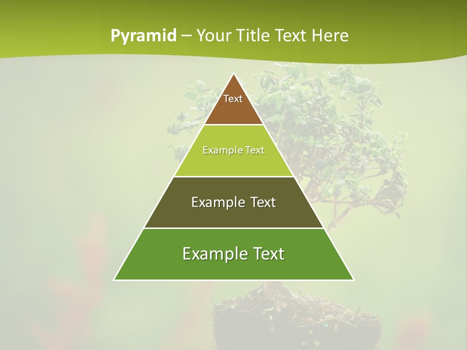 Beauty Japan Mesh PowerPoint Template