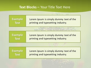 Beauty Japan Mesh PowerPoint Template