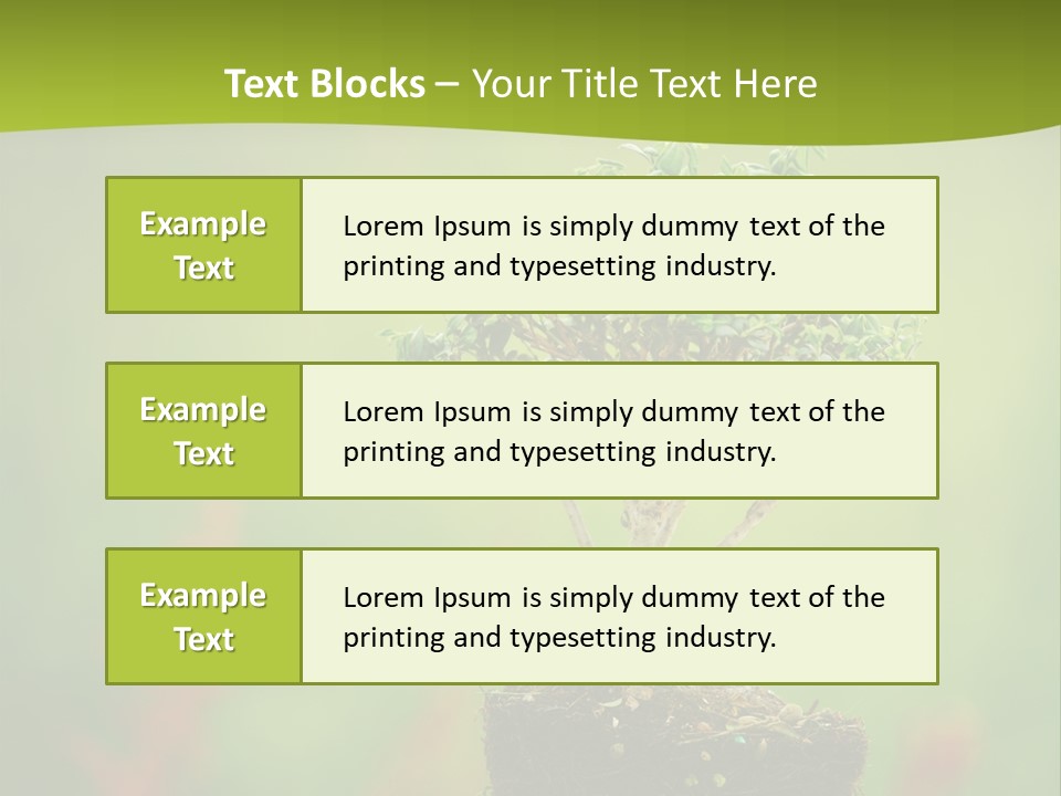 Beauty Japan Mesh PowerPoint Template