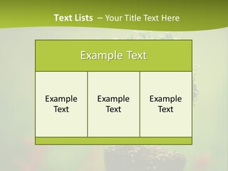 Beauty Japan Mesh PowerPoint Template