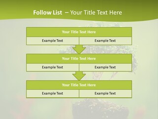 Beauty Japan Mesh PowerPoint Template