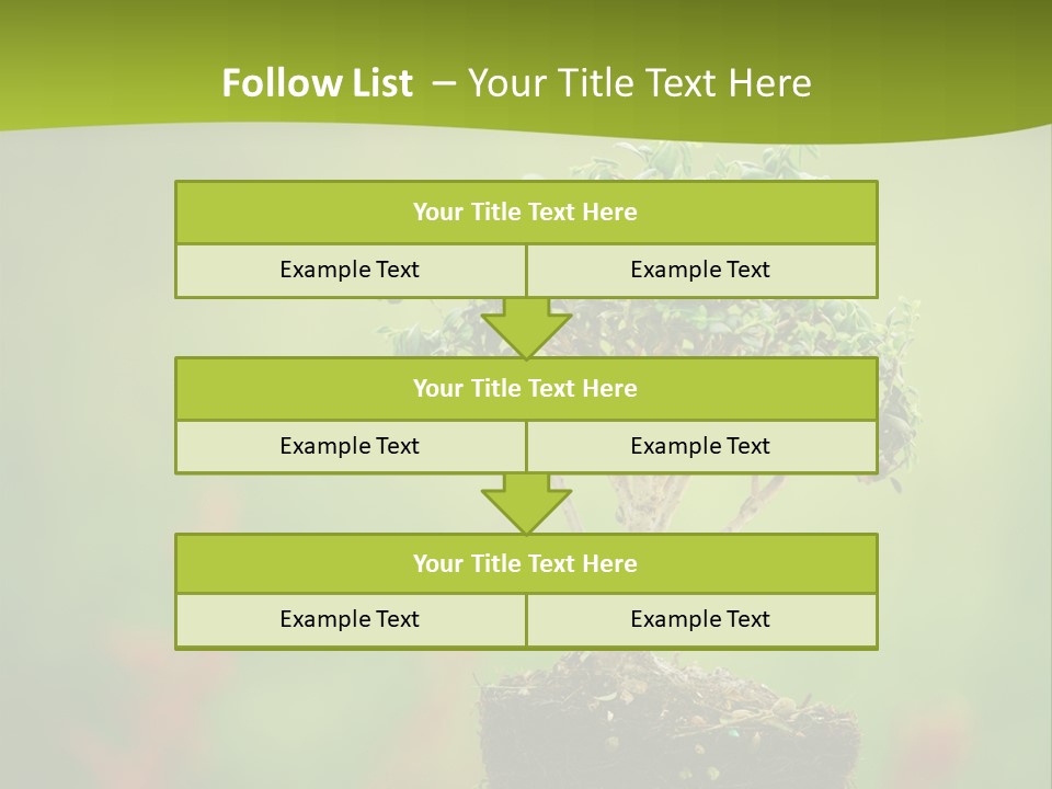 Beauty Japan Mesh PowerPoint Template