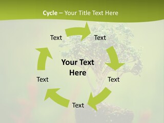 Beauty Japan Mesh PowerPoint Template