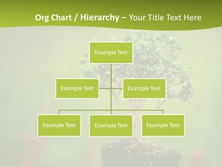 Beauty Japan Mesh PowerPoint Template