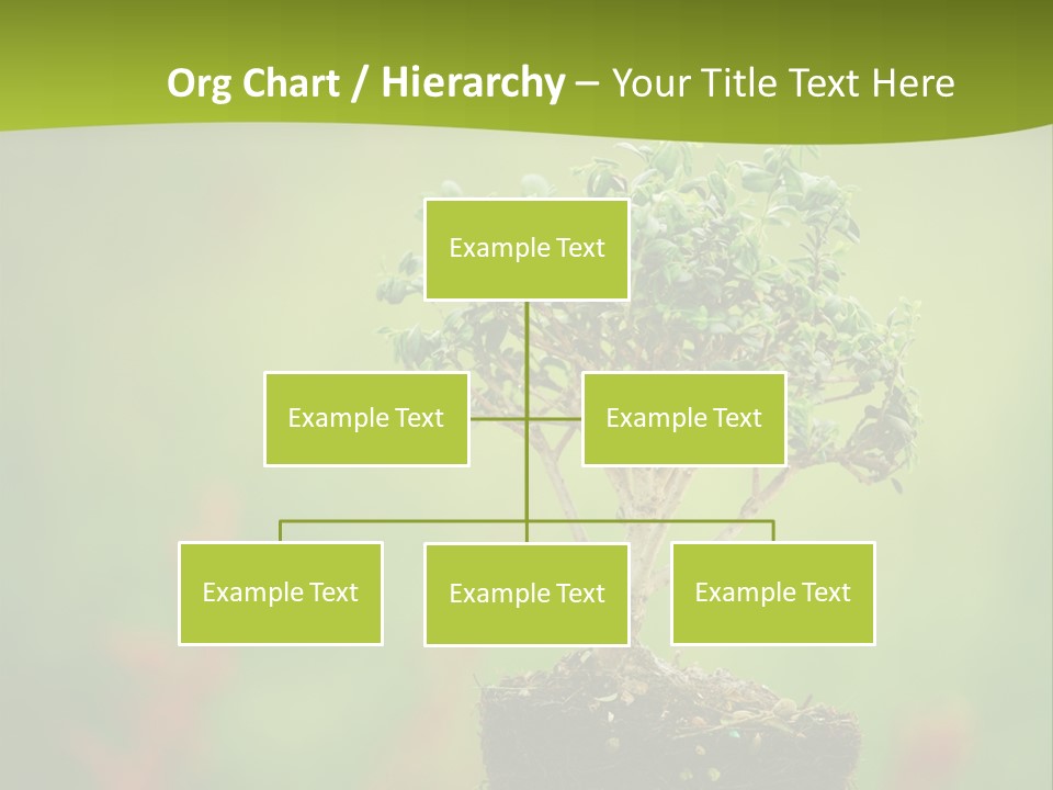 Beauty Japan Mesh PowerPoint Template