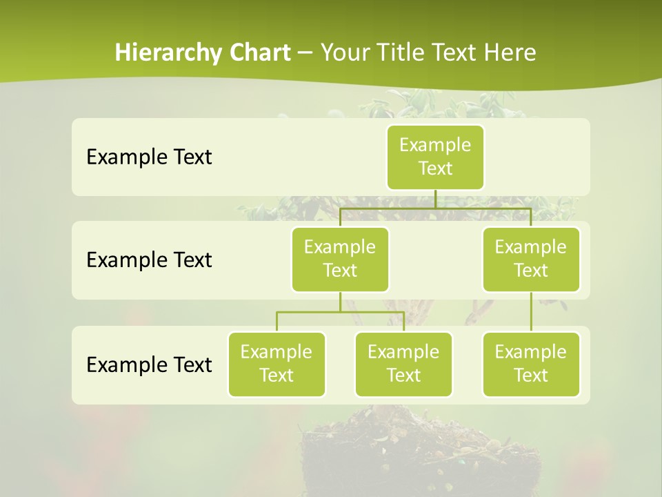 Beauty Japan Mesh PowerPoint Template