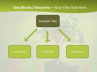 Beauty Japan Mesh PowerPoint Template