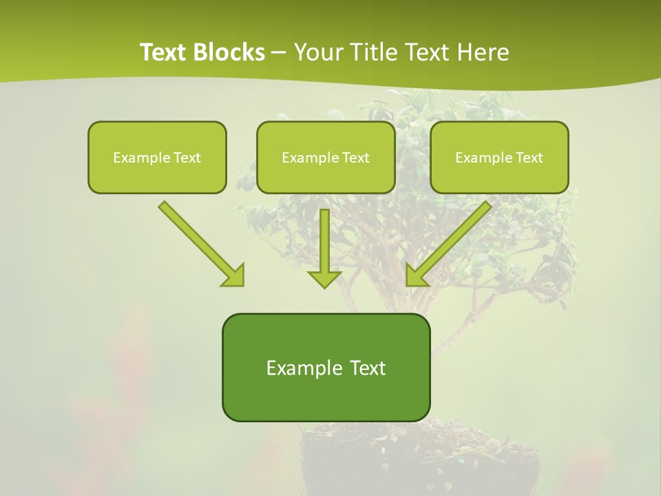 Beauty Japan Mesh PowerPoint Template