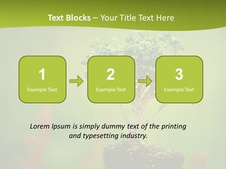 Beauty Japan Mesh PowerPoint Template