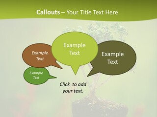 Beauty Japan Mesh PowerPoint Template