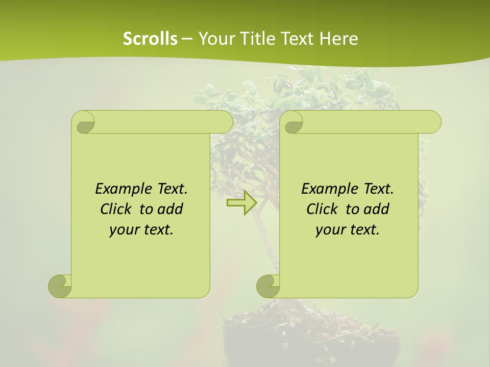 Beauty Japan Mesh PowerPoint Template