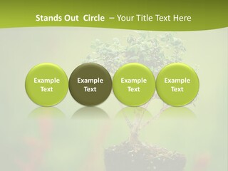 Beauty Japan Mesh PowerPoint Template