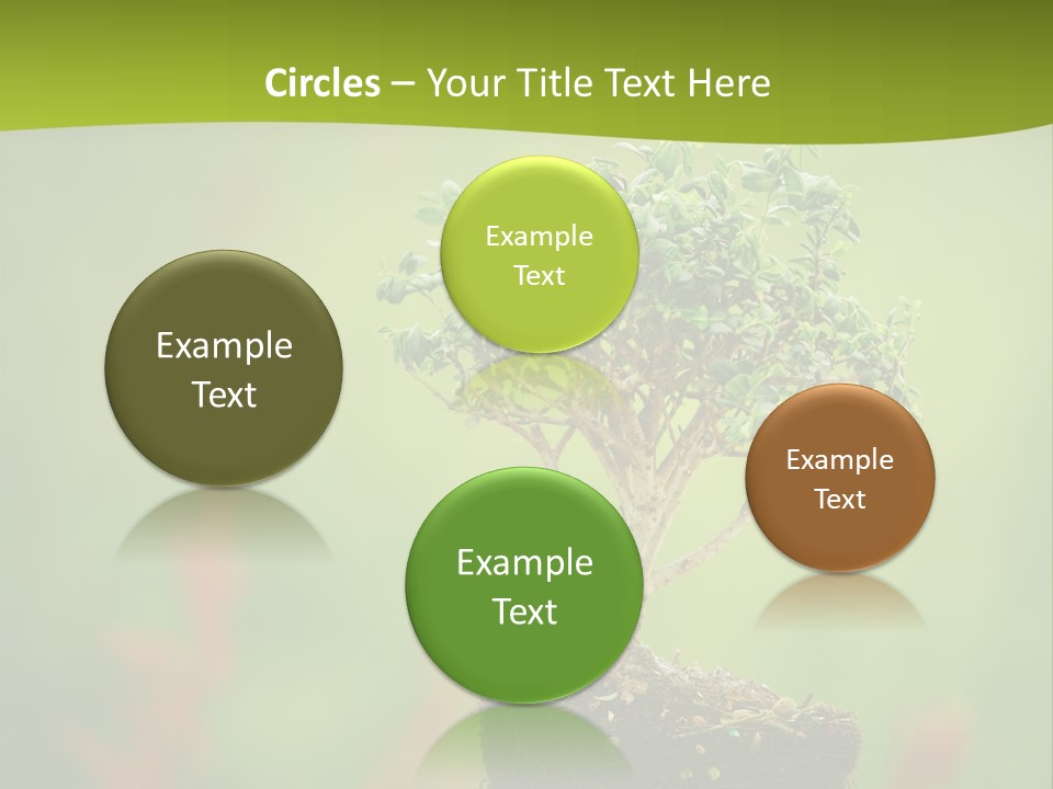 Beauty Japan Mesh PowerPoint Template