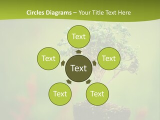 Beauty Japan Mesh PowerPoint Template