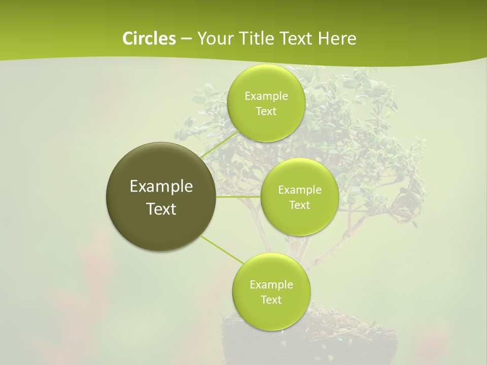 Beauty Japan Mesh PowerPoint Template