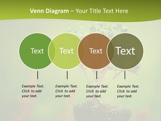 Beauty Japan Mesh PowerPoint Template