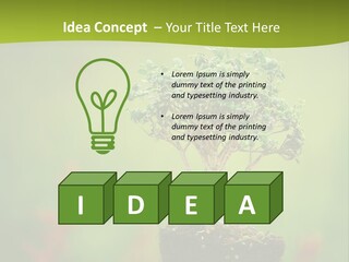 Beauty Japan Mesh PowerPoint Template