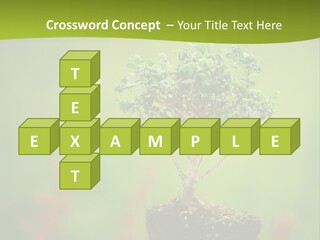 Beauty Japan Mesh PowerPoint Template