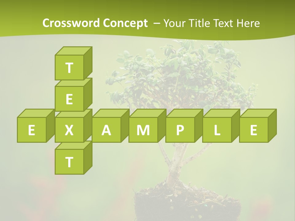 Beauty Japan Mesh PowerPoint Template