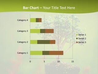 Beauty Japan Mesh PowerPoint Template