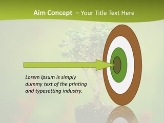 Beauty Japan Mesh PowerPoint Template