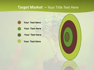 Beauty Japan Mesh PowerPoint Template