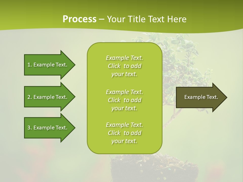 Beauty Japan Mesh PowerPoint Template