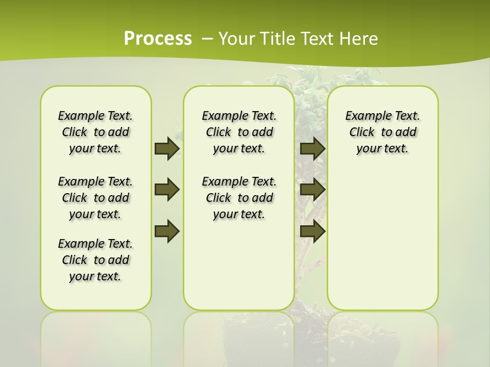 Beauty Japan Mesh PowerPoint Template
