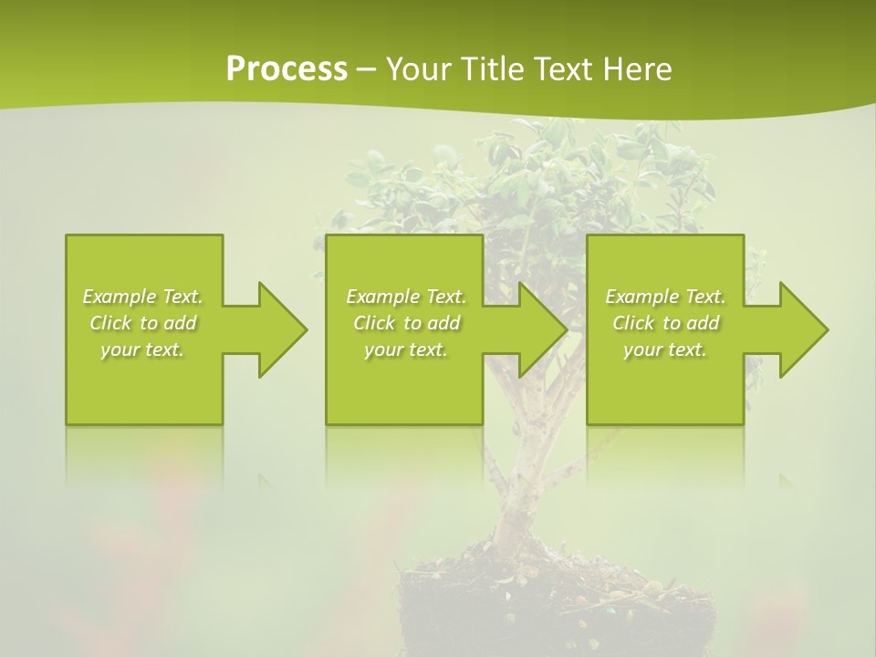 Beauty Japan Mesh PowerPoint Template